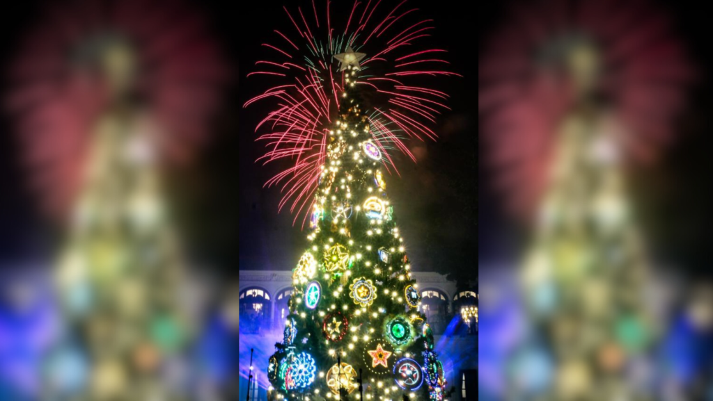 A blessed Christmas tree lighting eve at the palace
