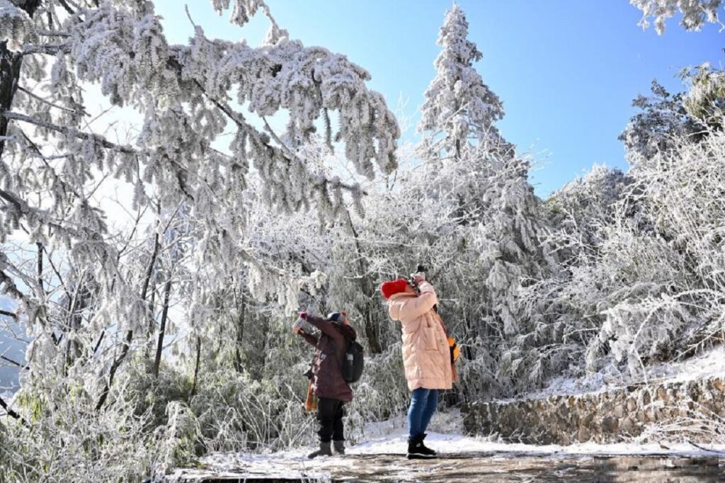 Christmas beyond borders: Fujian winter celebrations