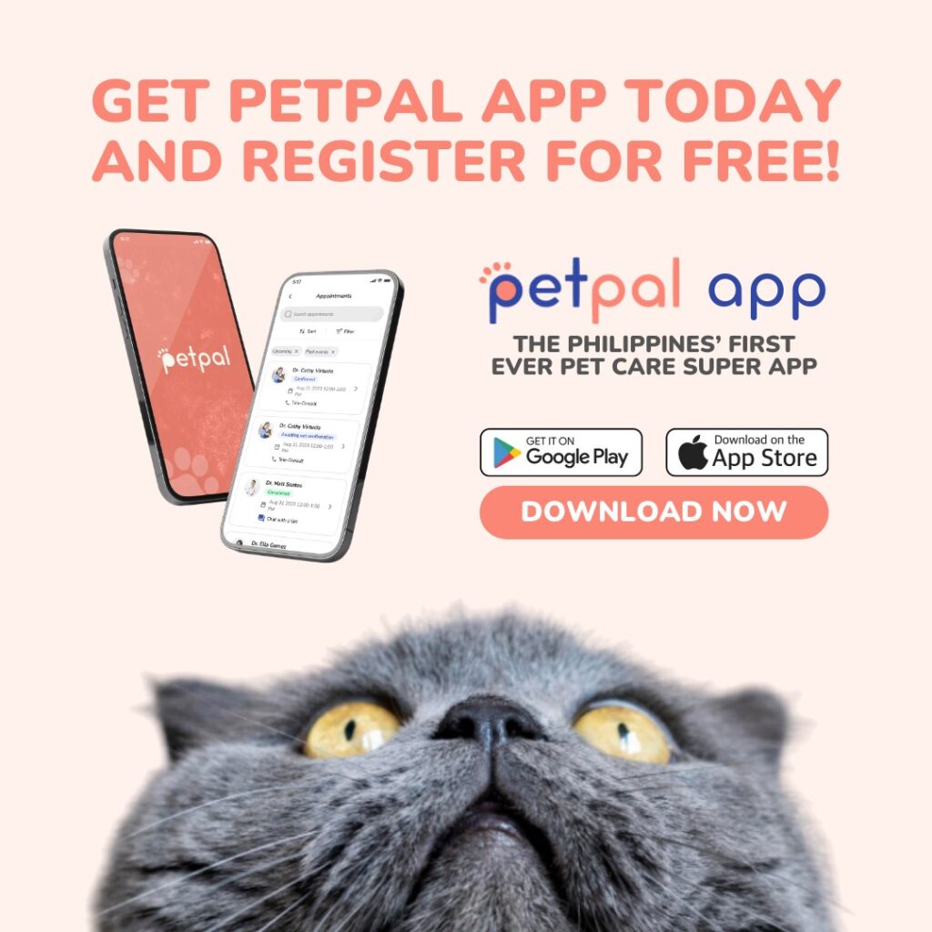 Presenting Phl’s first all-in-one pet care super app