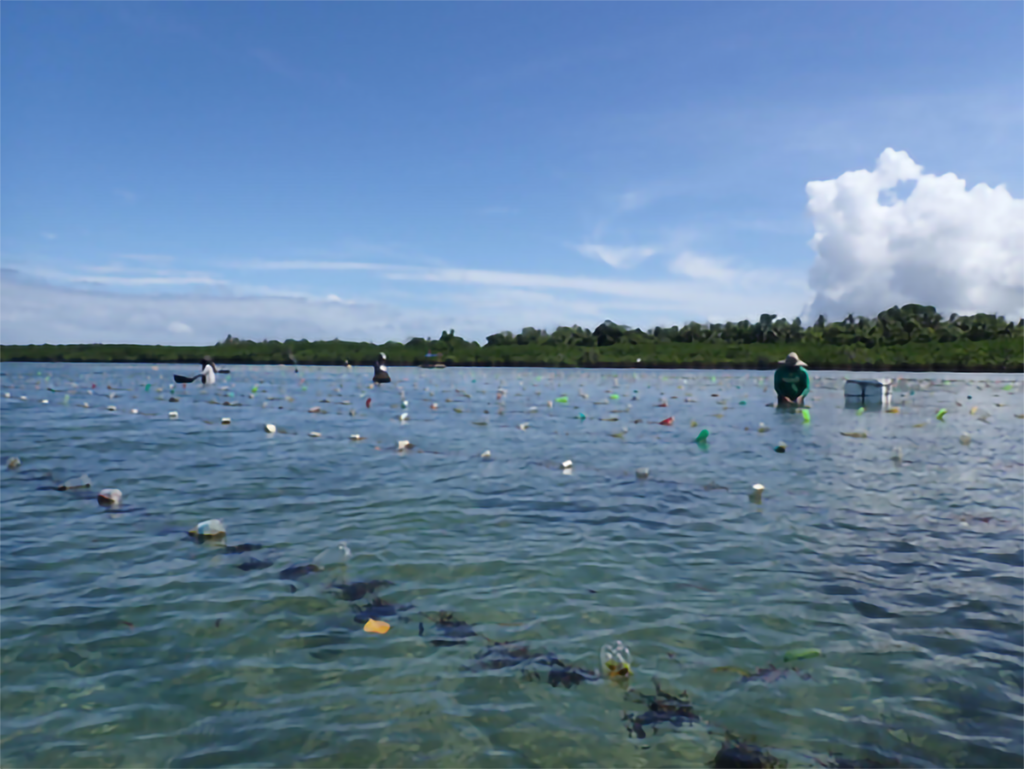 Study: Seaweed a resilient food solution in nuclear winter