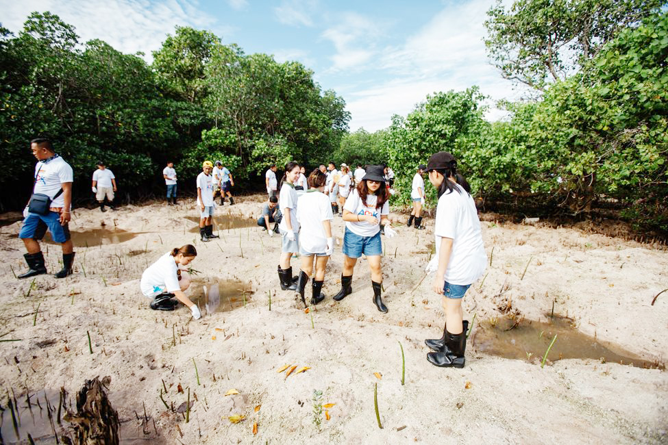 Mangrove planting, beach cleanup mark MR.DIY’s AoK