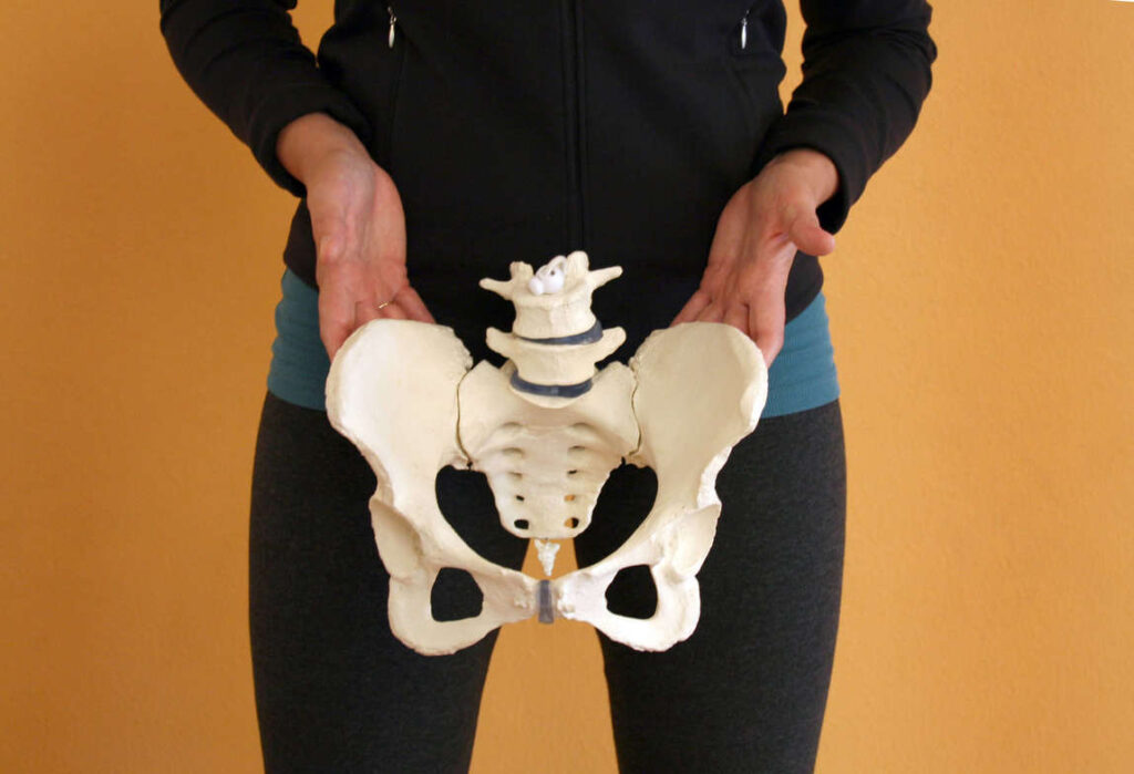 Have you paid attention to your pelvis lately?